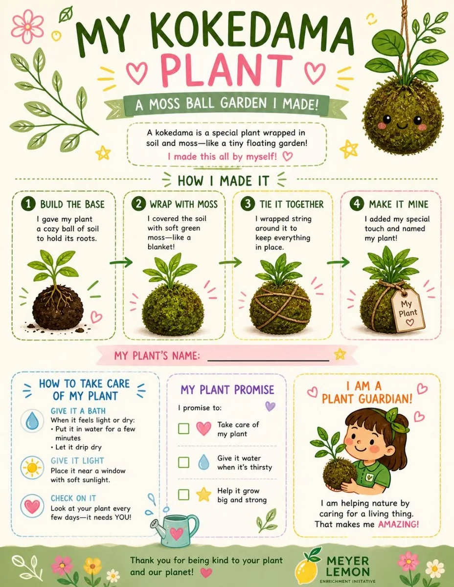 A colorful take-home kokedama plant care guide for children